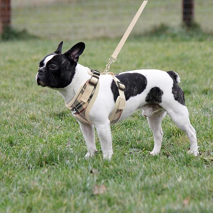 PUPTECK Soft Mesh Dog Harness and Leash Set Pet Puppy Cat Adjustable Reflective Padded Vest No Pull Harnesses, Beige, S