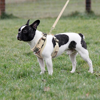 PUPTECK Soft Mesh Dog Harness and Leash Set Pet Puppy Cat Adjustable Reflective Padded Vest No Pull Harnesses, Beige, S