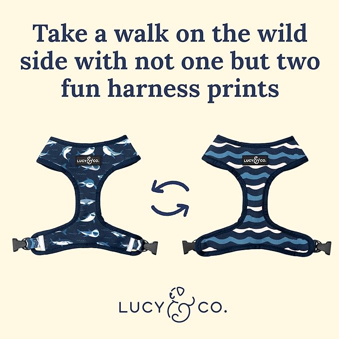 Lucy & Co. Reversible Dog Harness Walking Halter - Harnesses for Small Medium Large XL Dogs - Padded Adjustable - for German Shepherd, Pug, French Bulldog, English Bulldog (X-Small, Shark Attack)