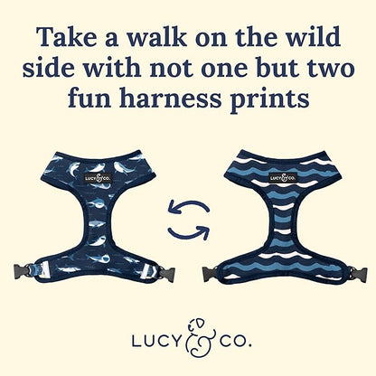 Lucy & Co. Reversible Dog Harness Walking Halter - Harnesses for Small Medium Large XL Dogs - Padded Adjustable - for German Shepherd, Pug, French Bulldog, English Bulldog (X-Small, Shark Attack)