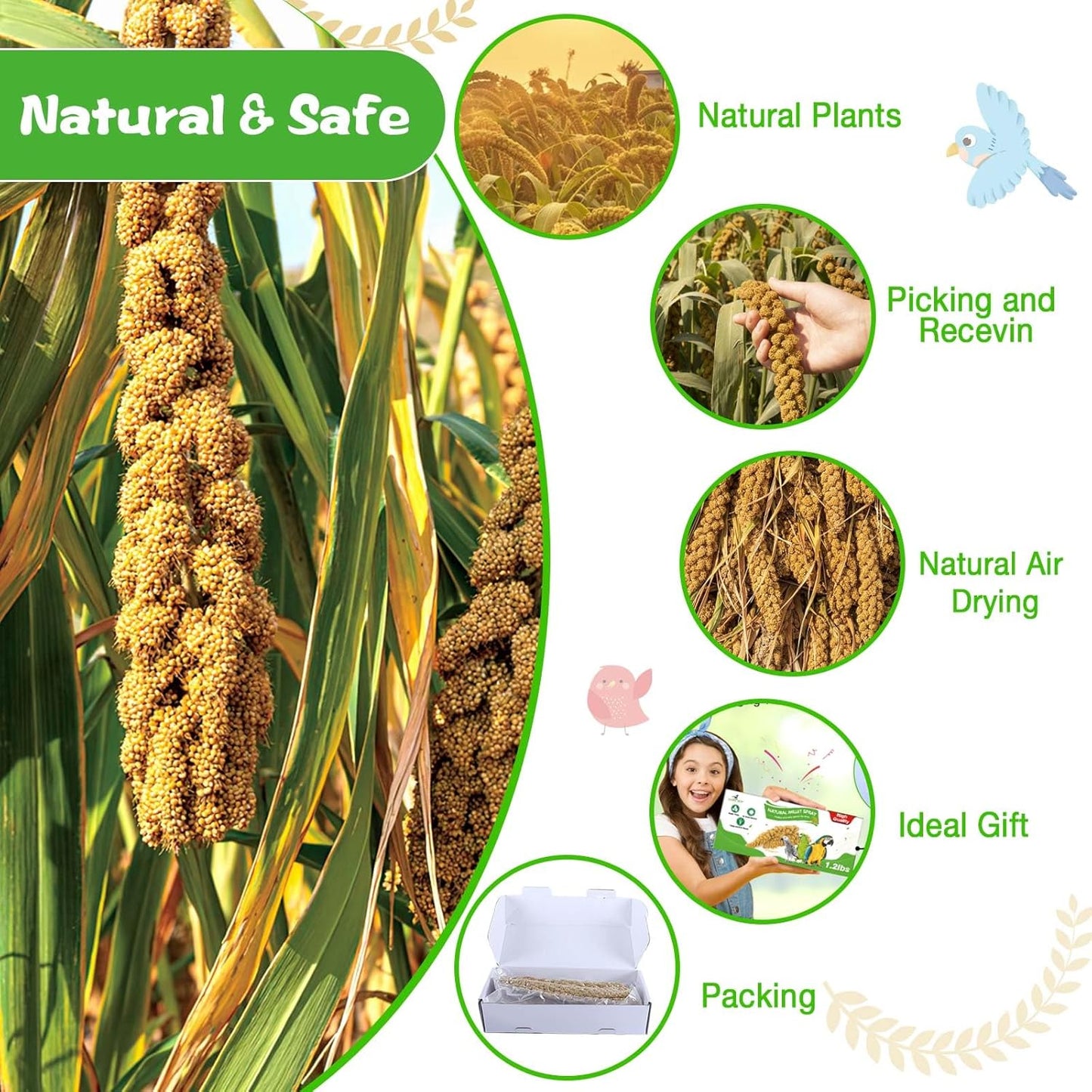 Millet for Birds 1.2LB, Natural Sun-Dried Spray Seed No Stems Only Edible Tops for Parakeet, Budgies, Finches, Cockatiels, Parrots, Lovebird, Hamster and Other Pets Treat