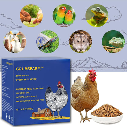 Premium Chicken Treats 5LB - Non-GMO & 85X More Calcium Than Meal Worms - Molting & Laying Supplement - BSF Larvae Treats for Layer Hens, Ducks Wild Birds