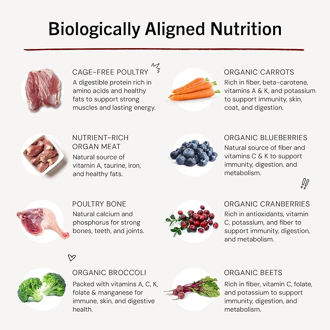 Stella & Chewy's Freeze-Dried Raw Dinner Patties - Duck Duck Goose Recipe - High Protein Grain-Free Puppy & Dog Food - Perfect For Picky Eaters - 14 oz