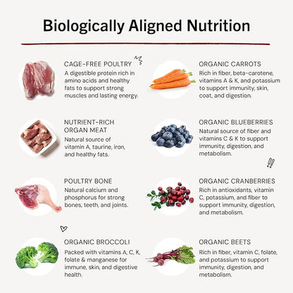 Stella & Chewy's Freeze-Dried Raw Dinner Patties - Duck Duck Goose Recipe - High Protein Grain-Free Puppy & Dog Food - Perfect For Picky Eaters - 14 oz