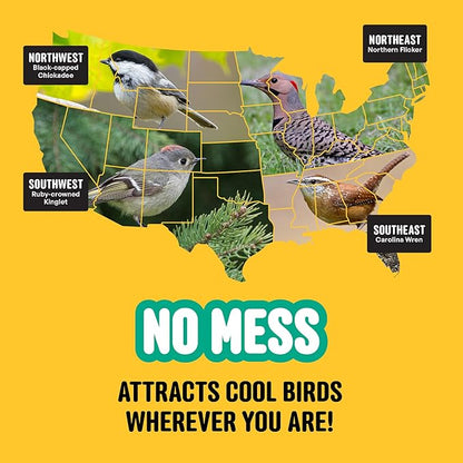 No Mess with Fruit Wild Bird Seed – 10 lb. 100% Edible Shell-Free Blend with Sunflower Hearts, Peanuts, Tree Nuts, Pumpkin Seed & Real Fruit – No Waste Bird Seed for Outside Feeders