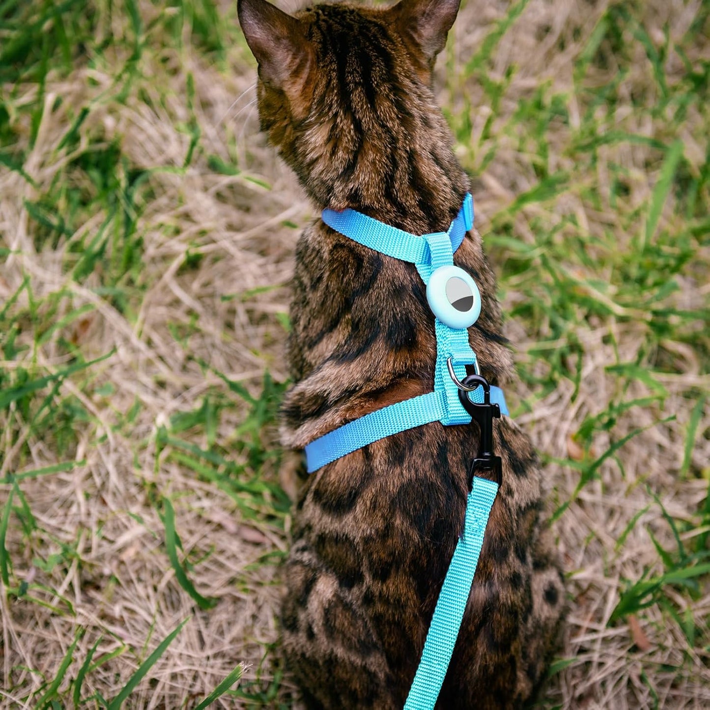 Cat Harness and Leash Set with Airtag Holder for Walking & Travelling, Escape Proof Cat Harness for Small Medium Large Kitten, Adjustable Lightweight Soft Cat Vests (Blue)