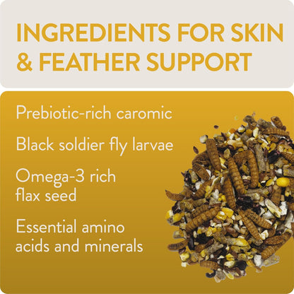 Shine, Functional Poultry Treats for Skin and Feather Support, 1.5 lb