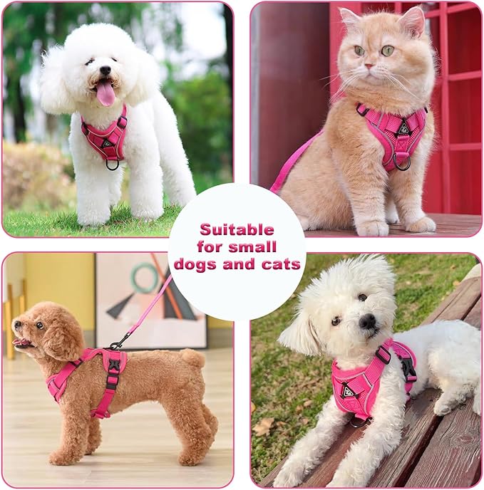 SOLMOONY Small Dog Harness,Soft Mesh Puppy Harness and Leash Set,No Escape Cat Harnesses for Training Walking,Reflective Adjustable Puppy Vest for Small Medium Dogs, Cats (Hot Pink, L)
