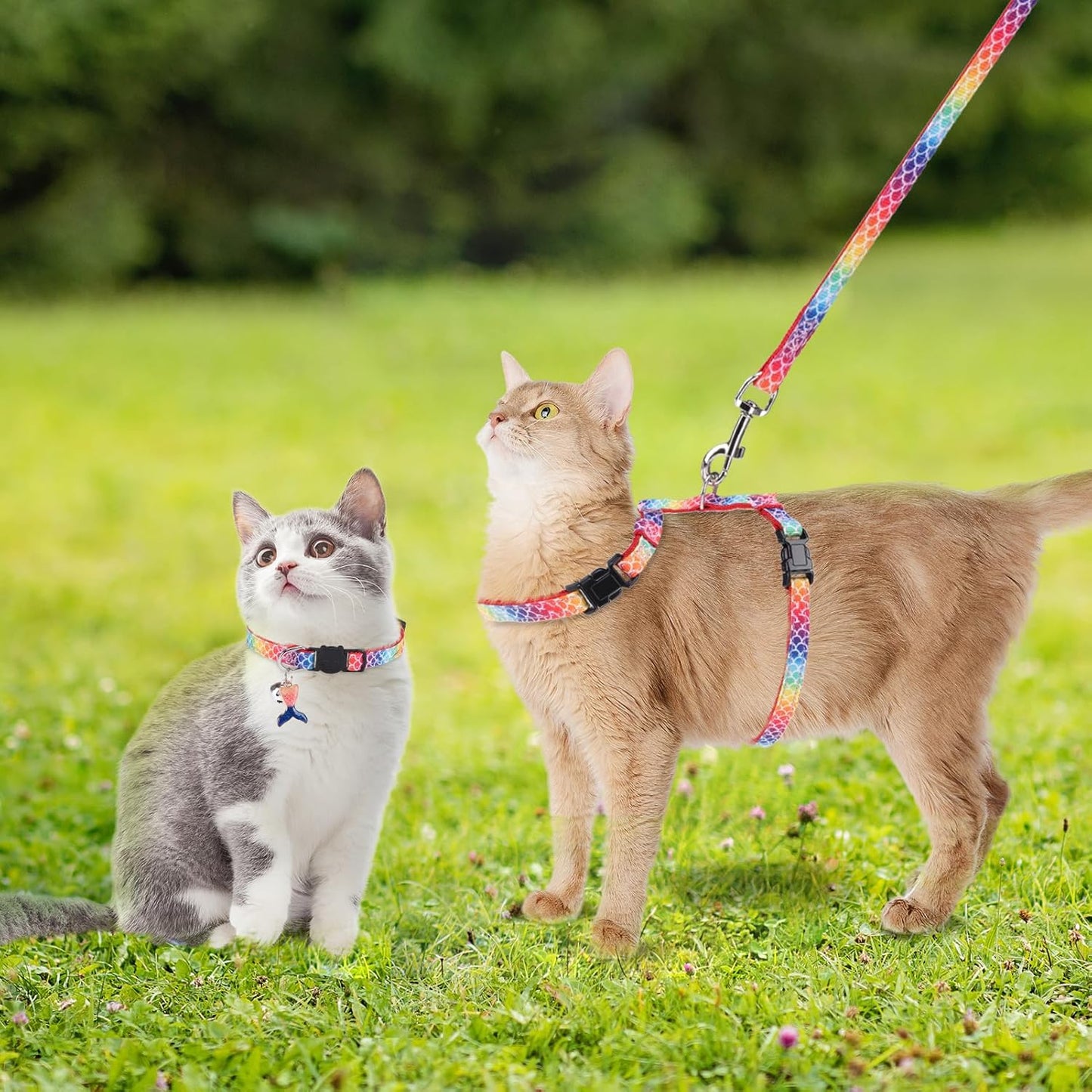 PAWCHIE Cat Harness with Leash and Collar Set - Escape Proof Adjustable Glow in The Dark Cat Harness for Kitty Outdoor Walking Multicolor