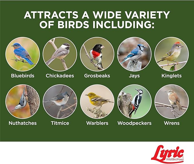 Lyric Peanut Pieces High Energy Suet Cakes for Wild Birds, 12 oz. (12 Pack)