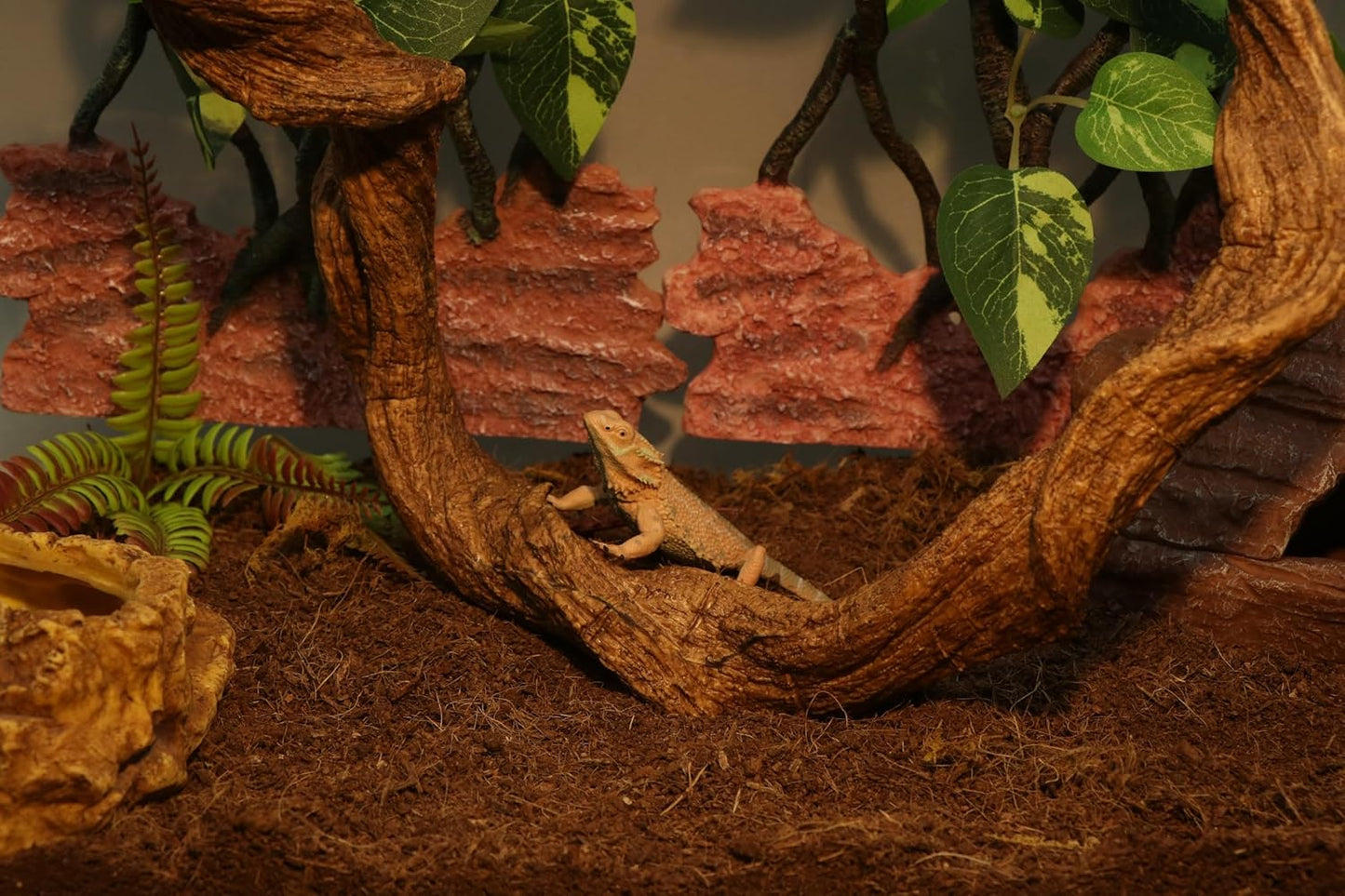 AQUA KT Reptile Twist Climber Vine Bendable Branch for Lizard Snake Bearded Dragon Crested Gecko Climbing Accessory Terrarium Habitat Decoration