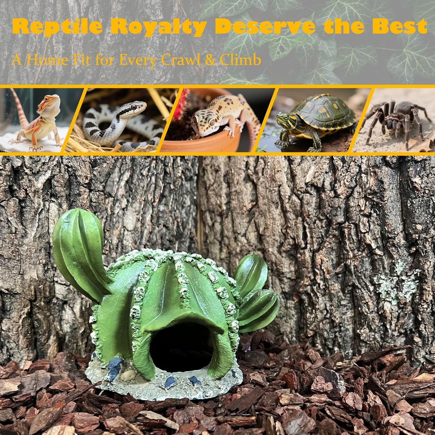 Cactus Reptile Hide Caves Lizard Bearded Dragon Leopard Gecko Hideout Terrarium Tank Accessories Turtle Snake Décor Amphibian Habitat Tortoise Personalized Decoration