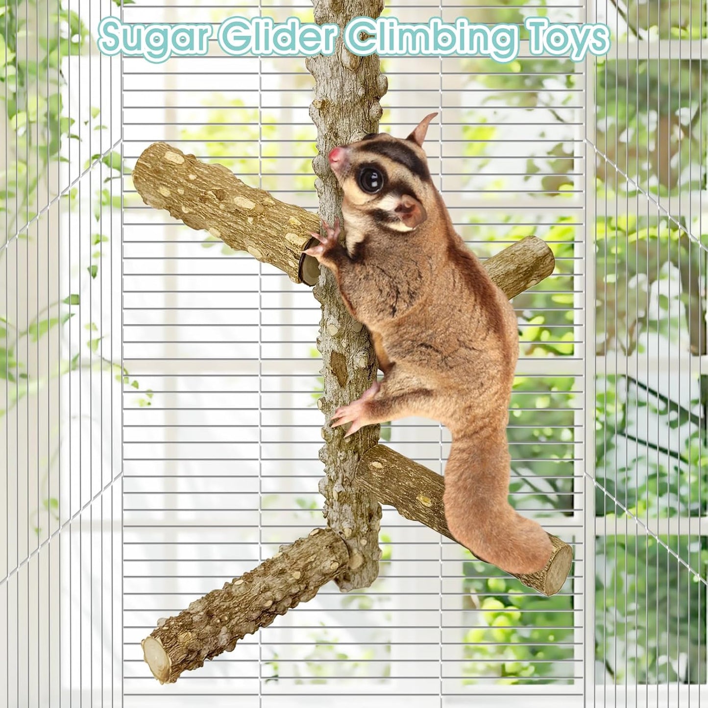 BNOSDM Sugar Glider Toy Natural Prickly Ash Wood Perch Stand Squirrel Hanging Wooden Climbing Pole Hamster Paw Grinding Perch Small Animal Cage Accessories for Chinchillas Rats Gerbil