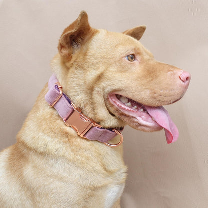 PETDURO Personalized Dog Collar Pink Purple Soft Velvet for Large Medium Small Boy Girl Dogs - Custom Collar with Name Phone Engraved on Rose Gold Metal Buckle - Add Leash Bow Set via Customize Now