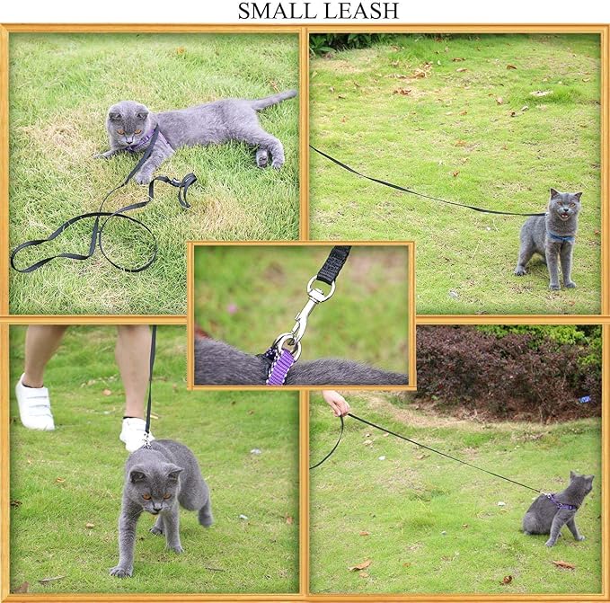 AMAGOOD 6 FT Puppy/Dog Leash, Strong and Durable Traditional Style Leash with Easy to Use Collar Hook, Great for Small, Medium and Large Dogs (5/8 in x 6 ft, Black and Purple 2-Pack)