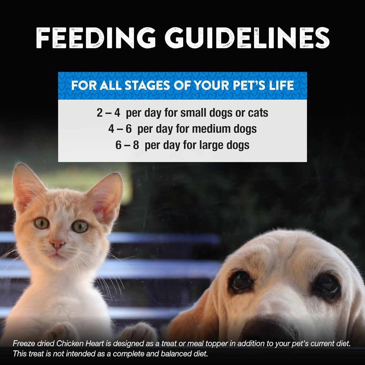 Northwest Naturals Raw Rewards Freeze-Dried Chicken Heart Treats for Dogs and Cats - Bite-Sized Pieces - Healthy, 1 Ingredient, Human Grade Pet Ingredients, Natural, Made in USA, 10 Oz (Pack of 3)