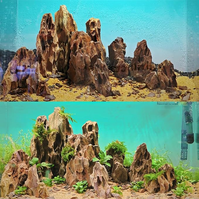 5LB Aquarium Rocks Dragon Stone for Aquariums Aquascaping Landscaping Model Fish Tanks Terrariums Vivariums Decoration Paludarium Amphibian Enclosures-2-4 Inches