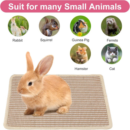 Rabbit Scratching Pad, 16"x12" Natural Rabbit Scratch Mat for Claws and Teeth, Bunny Toys for Rabbits Indoor, Bunny Scratcher Pad for Bunnies Boredom