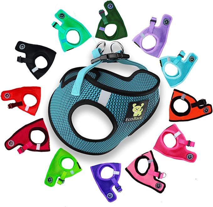 EcoBark Step in Dog Harness - Reflective Soft Luxurious Mesh Dog Harnesses for XXS, XS, Small, and Medium Dogs - Eco-Friendly Comfort Secure Halter No Pull Adjustable Pet Vest (Aqua Sport, XXXS)