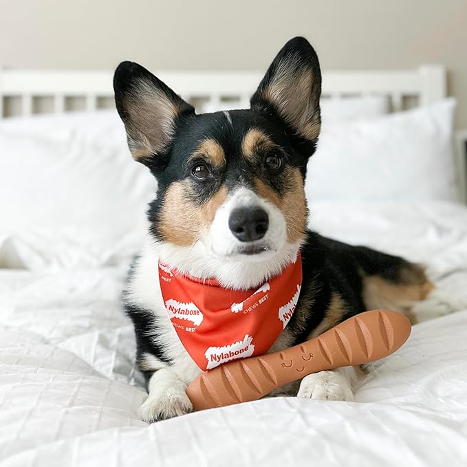 Nylabone Baguette Power Chew Toy for Dogs, Dog Toys for Aggressive Chewers, Roast Chicken Flavor, Large Dogs - Up to 50 lbs, 1 Count