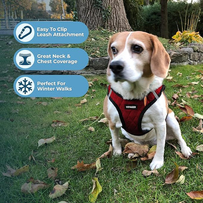 Best Pet Supplies - All Weather Mesh / Plush, Reflective, No Pull Harness for Small, Medium Dogs, Cats - Secure with Hook & Loop Fastener, Buckle, Double D-Rings - Red Plush, XS