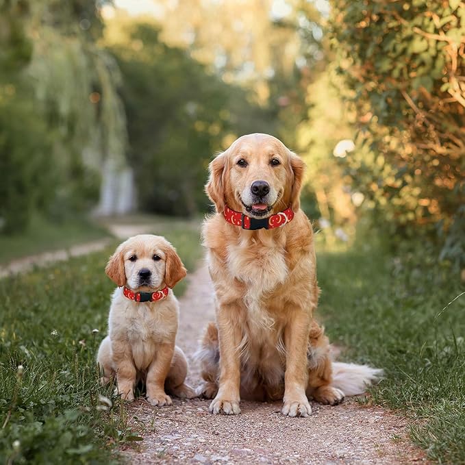 Gold Sun Moon Red Dog Collar Soft Pet Collars for Small Medium Large Breed Dogs Cats Puppy Kitten Terrier