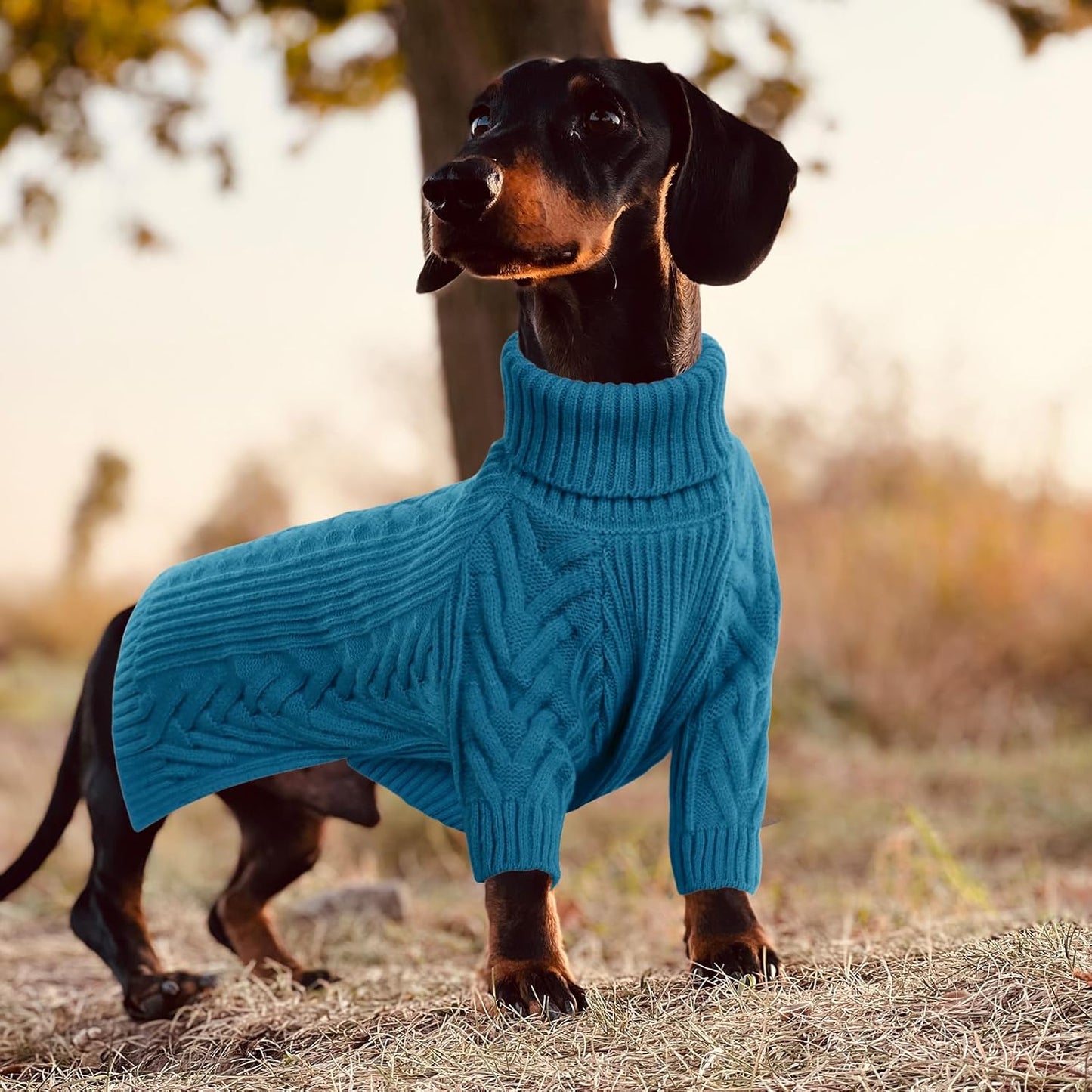 ASENKU Extra-Large Dog Sweater, Dog Sweaters for Extra Large Dogs, Pet Sweatshirt Apparel Turtleneck Pullover Winter for Doberman, Great Dane (Teal Blue, 3XL)