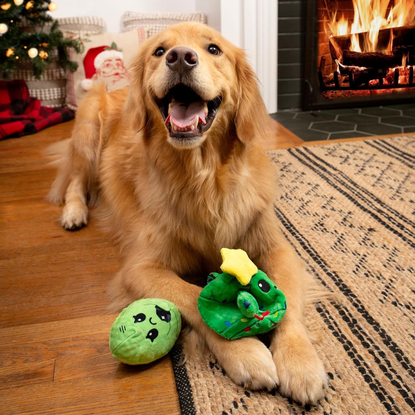 Barkbox Consuela The Christmas Cactus Dog Toy – Plush Rip & Reveal Holiday Toy with Whip-N-Flip Arms, Fluffy Stuffing & Hidden Spiky Ball Squeaker – Festive Play for Large Dogs (Pack of 2)