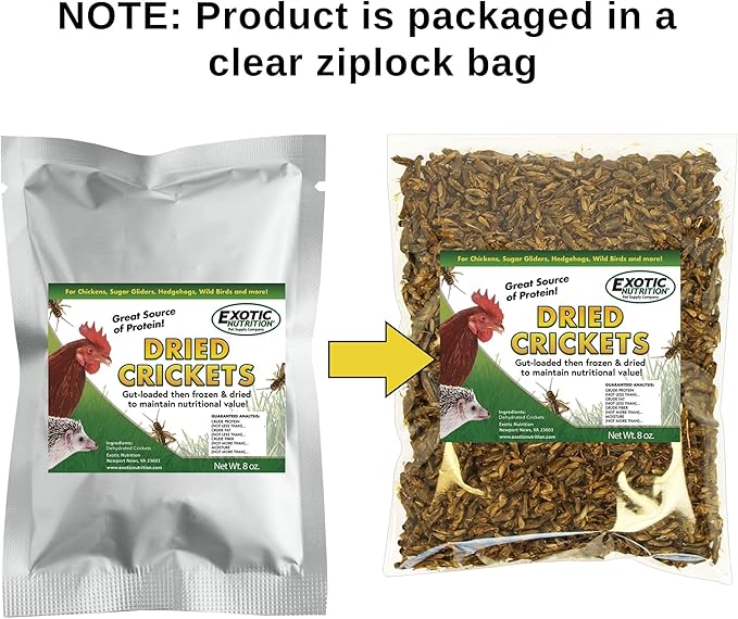 1/2 Pound Dried Crickets - High Protein Insect Treat - Chickens, Wild Birds, Hedgehogs, Bluebirds, Reptiles, Sugar Gliders, Opossums, Skunks, Lizards, Bearded Dragons, Fish, Turtles 8 oz. (1 Pack)