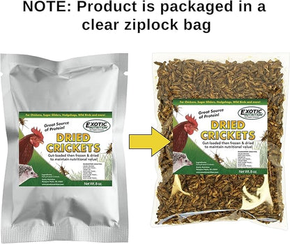 1 Pound Dried Crickets - High Protein Insect Treat - Chickens, Wild Birds, Hedgehogs, Bluebirds, Reptiles, Sugar Gliders, Opossums, Skunks, Lizards, Bearded Dragons, Fish, Turtles 8 oz. (2 Pack)