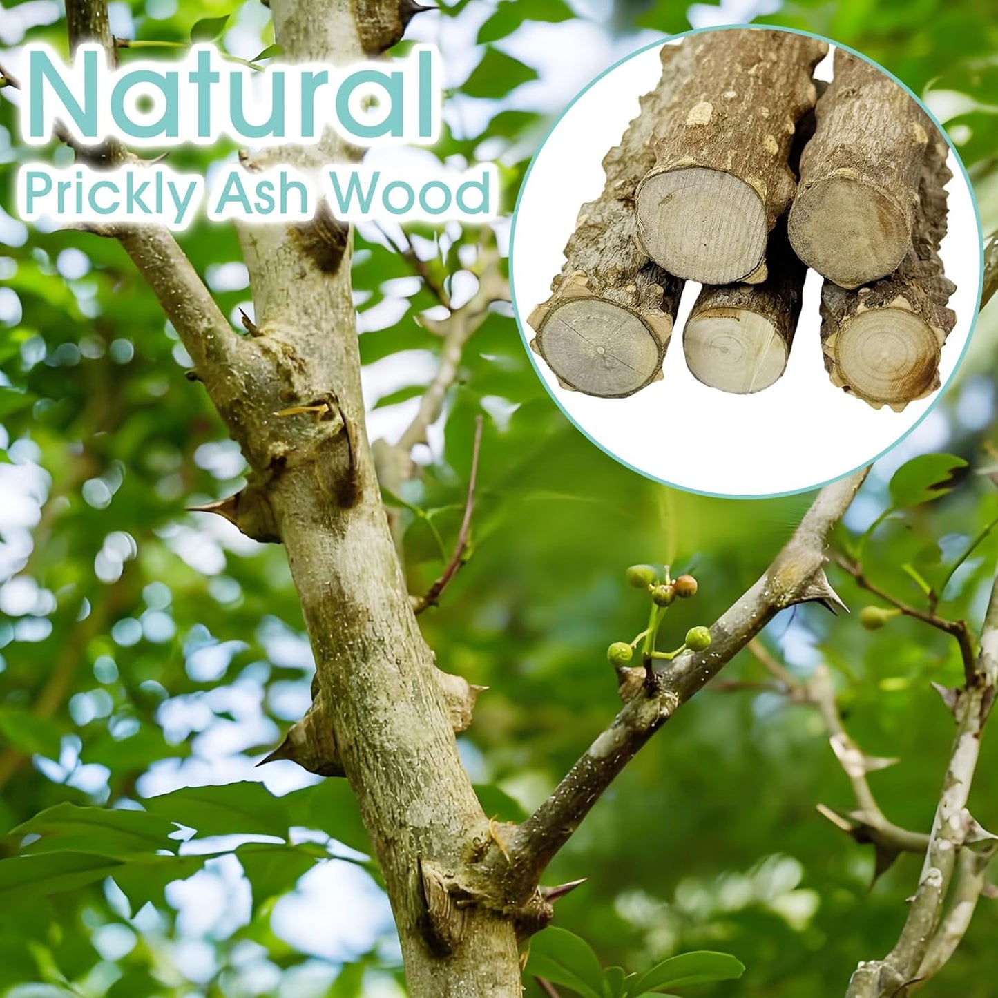 BNOSDM Sugar Glider Toy Natural Prickly Ash Wood Perch Stand Squirrel Hanging Wooden Climbing Pole Hamster Paw Grinding Perch Small Animal Cage Accessories for Chinchillas Rats Gerbil