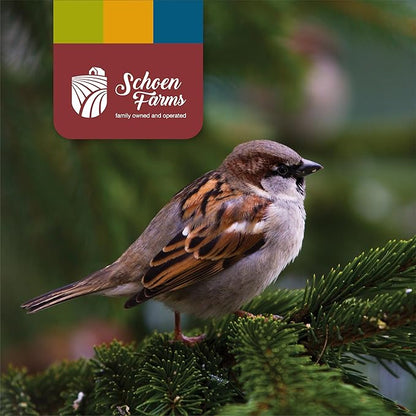 Schoen Farms Little Mess Wild Bird Food Mix – 10 lb Bag – No-Waste Seed Blend with Sunflower Hearts & Millet – Clean Backyard Feed for Finches, Jays & Cardinals