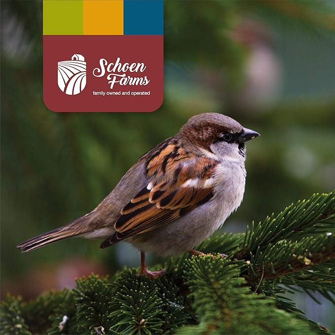 Schoen Farms Sunflower Kernels & Chips – 6 lb Bag – Hulled Sunflower Hearts Bird Seed – Clean, Wild Bird Food for Finches, Jays & Chickadees