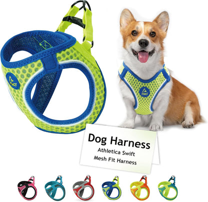 DOCO Dog Harness for Small Sized Dog - Athletica Adjustable, No Pull, No Choke, Puppy Vest Lightweight Air Mesh, Reflective, Puppy Essentials - Lime, Small (Chest 14.5"-15.5", Weight 6-10 lbs)