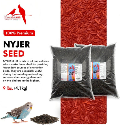 Morning Bird Nyjer Seed for Birds 18 lbs (2-Pack, 9 lbs Each)– Energizing Nutrition with Rich in Vitamins and Supplements – Ideal Bird Food for Breeding & Molting – Finch Seed for All Birds