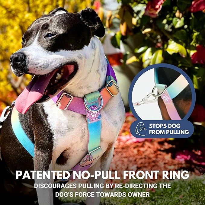 Spark Paws No Pull Dog Harness for Large Dogs, Heavy Duty Dog Harness for Big Strong Breeds, Adjustable, Y Shaped Padded Halter Design with Front Clip - Pastel Icing - L