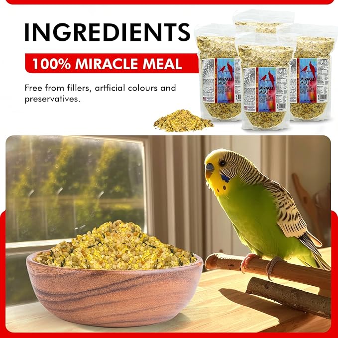 Morning Bird Miracle Meal 6 lbs. (4 Pack 1.5 Each) – Soft Food for Birds with Vitamins & Supplements – Packed with Protein, Minerals & Amino Energy – Promotes Strong Feathers & Overall Wellness