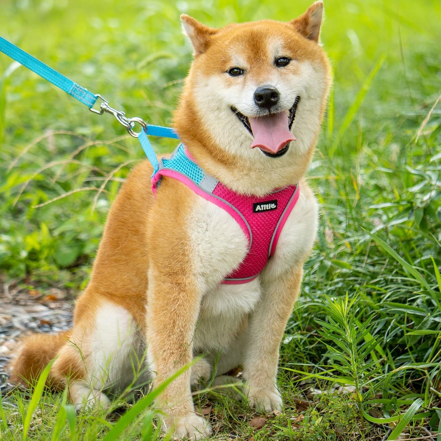 AIITLE Escape Proof Dog Harness - Step in Adjustable Dog Harness No Choke Over with Breathable Mesh and Quick-Release Buckle for Summer- Outdoor Walking, Camping, Training for Medium Dogs Hot Pink XL