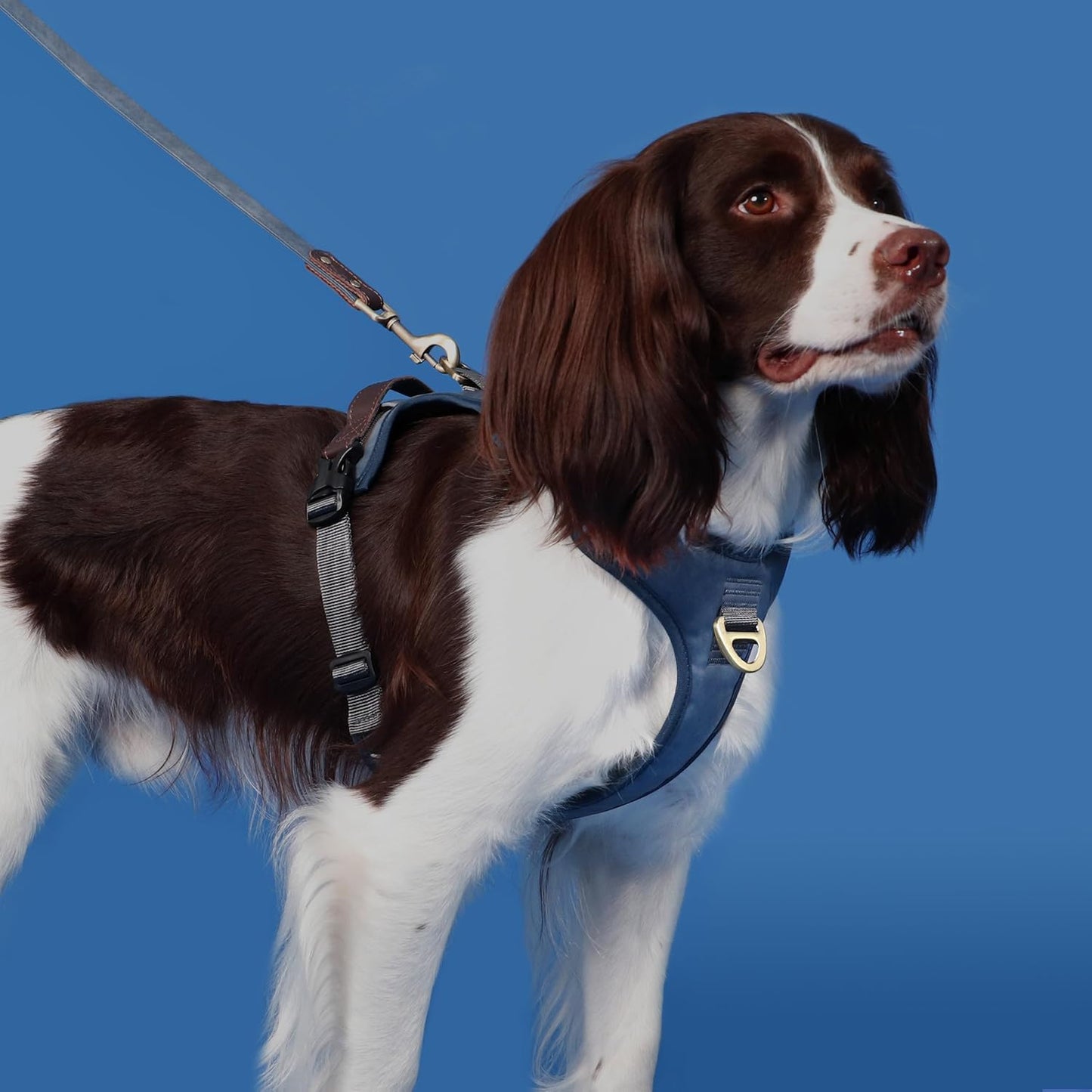 No Pull Dog Harness Small Sized Dog,Stylish PU Leather Vest with Easy Control Handle,No Choke Front Clip with 2 Metal Leash Clips,Reflective & Adjustable for Walking,Blue,Chest 19-24"