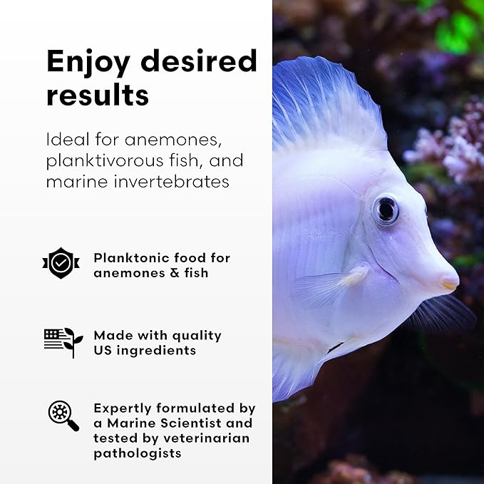 Brightwell Aquatics Reef Blizzard-A – High-Protein Planktonic Blend for Anemones, Planktivorous Fish & Marine Invertebrates – Enhances Color & Growth, 50g