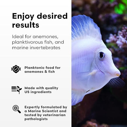 Brightwell Aquatics Reef Blizzard-A – High-Protein Planktonic Blend for Anemones, Planktivorous Fish & Marine Invertebrates – Enhances Color & Growth, 100g