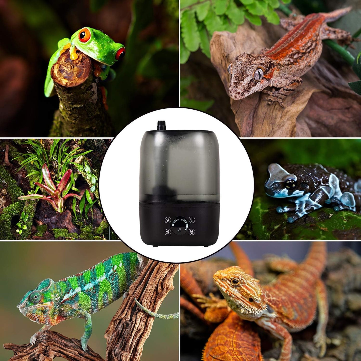 REPTI ZOO 4L Reptile Fogger Mister Tank, Terrariums Digital Tank Timing Humidifier Smart Touch Screen Adjustable Fogger for Reptiles Amphibians Herps
