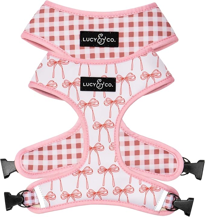 Lucy & Co. Cute Reversible Dog Harness Walking Halter - Best Designer Pet Harnesses for XS - XL Dogs - Padded Adjustable Vest for Easy Walking (Large, Ballet Bows - White & Pink Bows)