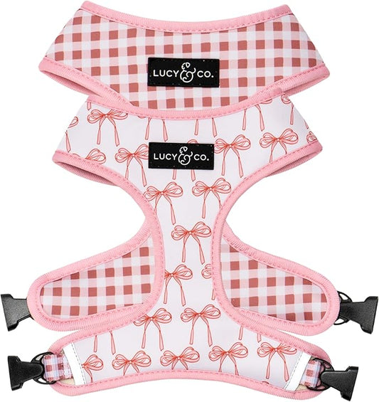 Lucy & Co. Cute Reversible Dog Harness Walking Halter - Best Designer Pet Harnesses for XS - XL Dogs - Padded Adjustable Vest for Easy Walking (X-Small, Ballet Bows - White & Pink Bows)