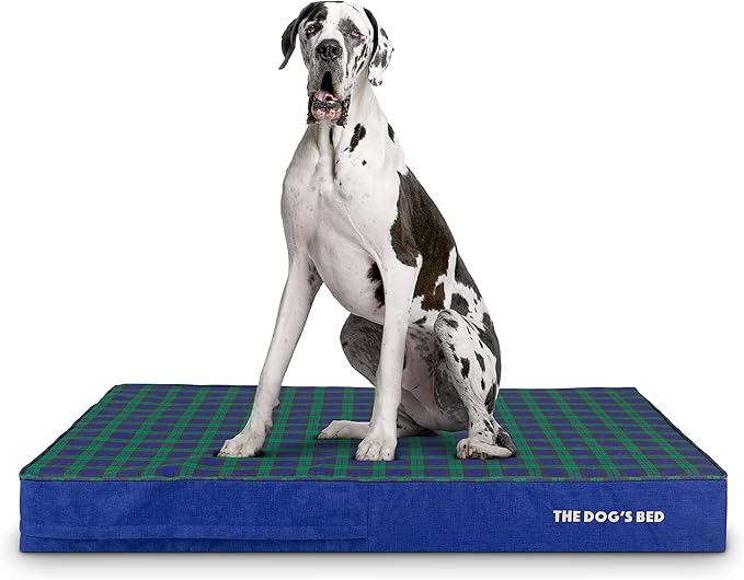 The Dog’s Bed Orthopedic Memory Foam Dog Bed, XXL Black Watch Tartan, Pain Relief for Arthritis, Hip & Elbow Dysplasia, Post Surgery, Lameness, Supportive, Calming, Waterproof Washable Cover