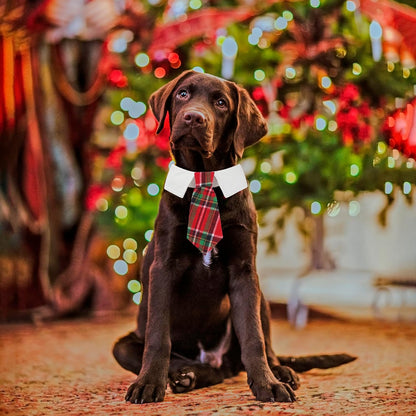 ADOGGYGO Christmas Dog Necktie Tuxedo, Red Plaid Pet Christmas Neck Tie Collar for Small Medium Large Dogs Pets (Medium)