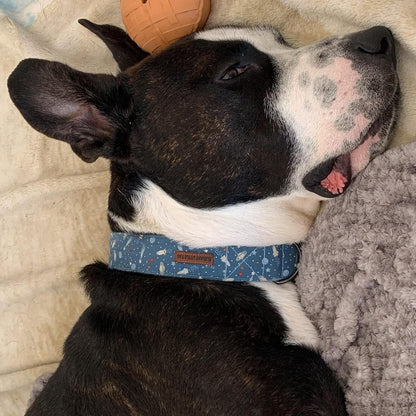 Elegant little tail Dog Collar, Blue Universe Pattern Pet Collar Durable Cute Dog Collars Male Pet Gift Adjustable Dog Collar for Medium Dogs