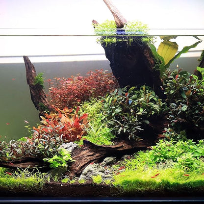 Ultum Nature Systems Driftwood - Malaysian Drift Wood for Fish Tank, Planted Tank, Terriarium, Paludarium - Versatile Natural Driftwood Decor, Events Wood Centerpiece - Malaysian, Small (8-12")