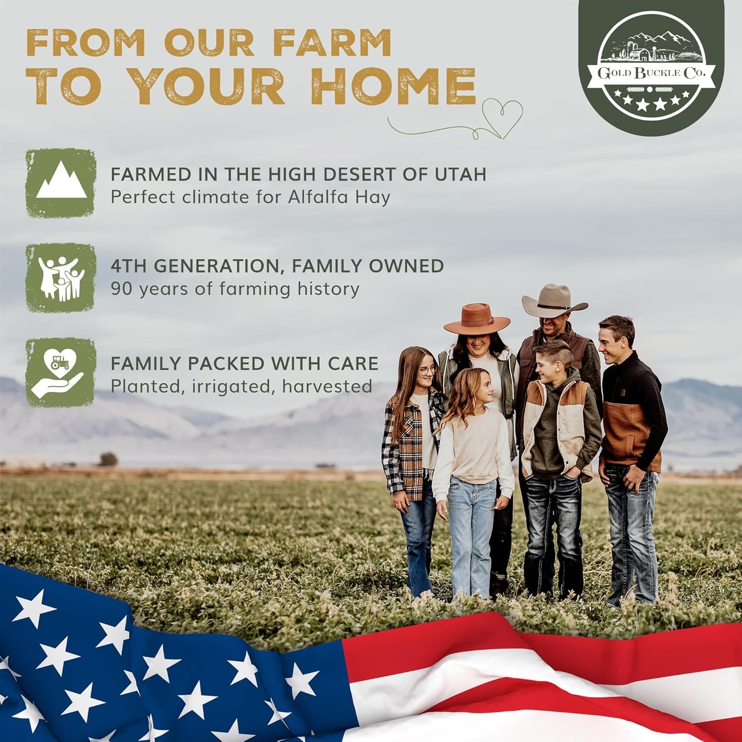 9lb Farm Fresh, USA Grown, Organic Alfalfa Hay for Rabbits, Guinea Pigs, Chinchillas, Goats, Hamsters & Ferrets - Rabbit Food Rich in Protein & Fiber - Just Dried, Hand-Selected