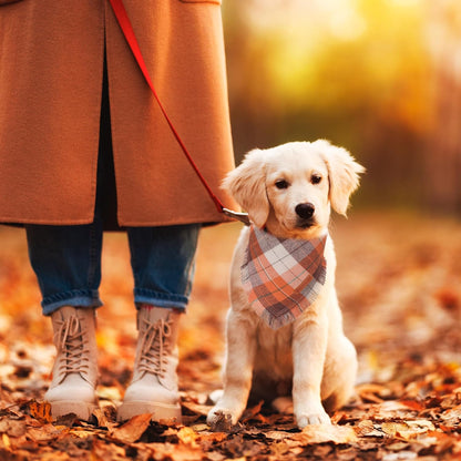 ADOGGYGO Fall Dog Bandanas with Tassels Edges, Stylish Plaid Pet Halloween Thanksgiving Scarf Bib, Orange Plaid Fall Bandanas for Small Dogs Pets (Small)